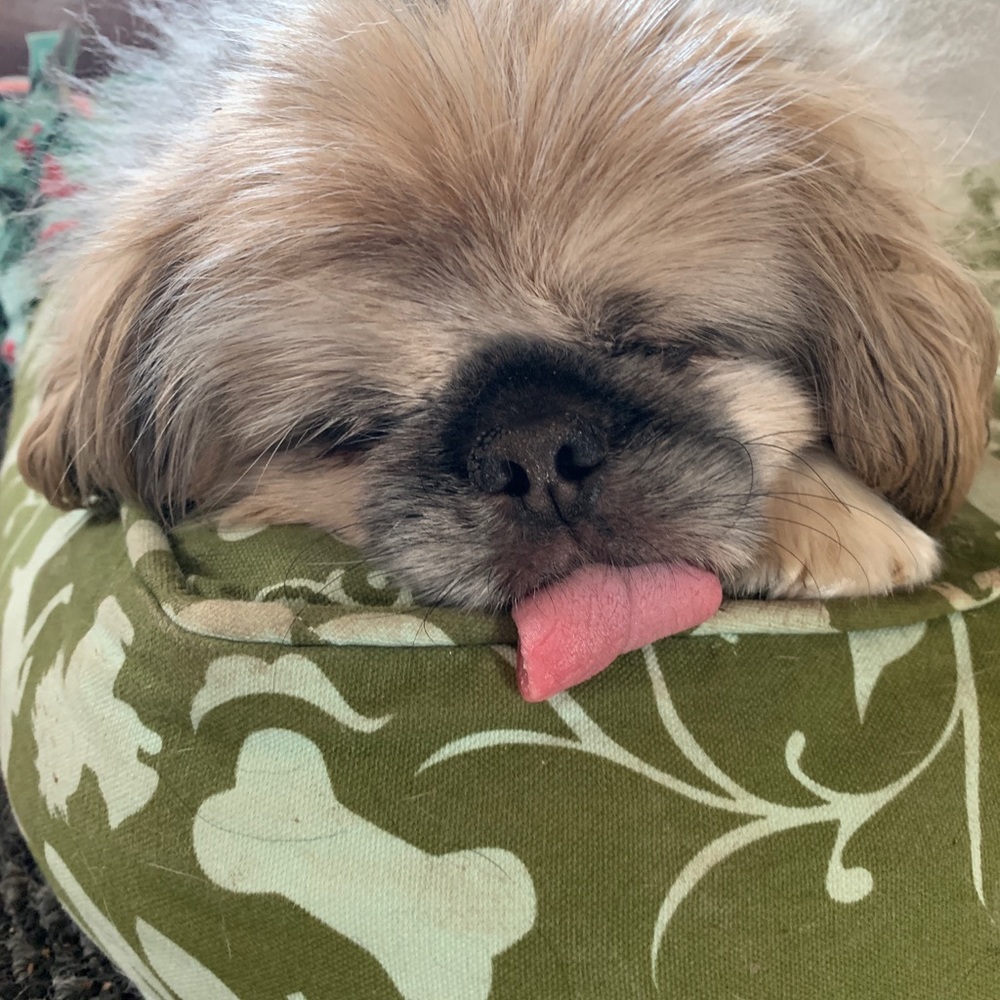 Meet your Posher, Paris